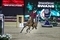 Ben Maher takes a podium place with the Shanghai Swans in the GCL Super Cup in Riyadh